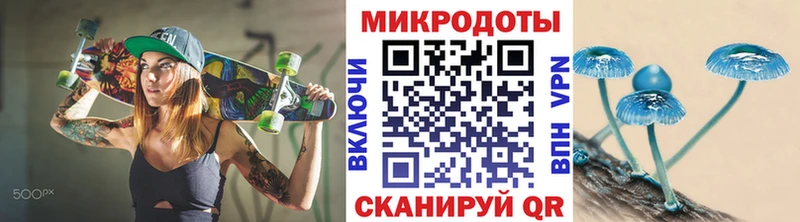 закладка  Рассказово  Псилоцибиновые грибы Psilocybine cubensis 