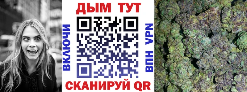 Бошки марихуана SATIVA & INDICA Рассказово